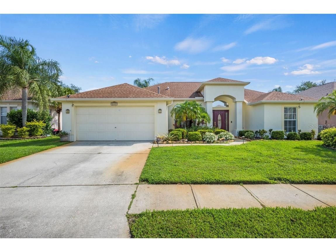 1137 Riveredge Drive Tarpon Springs FL 34689 T3442802 image1