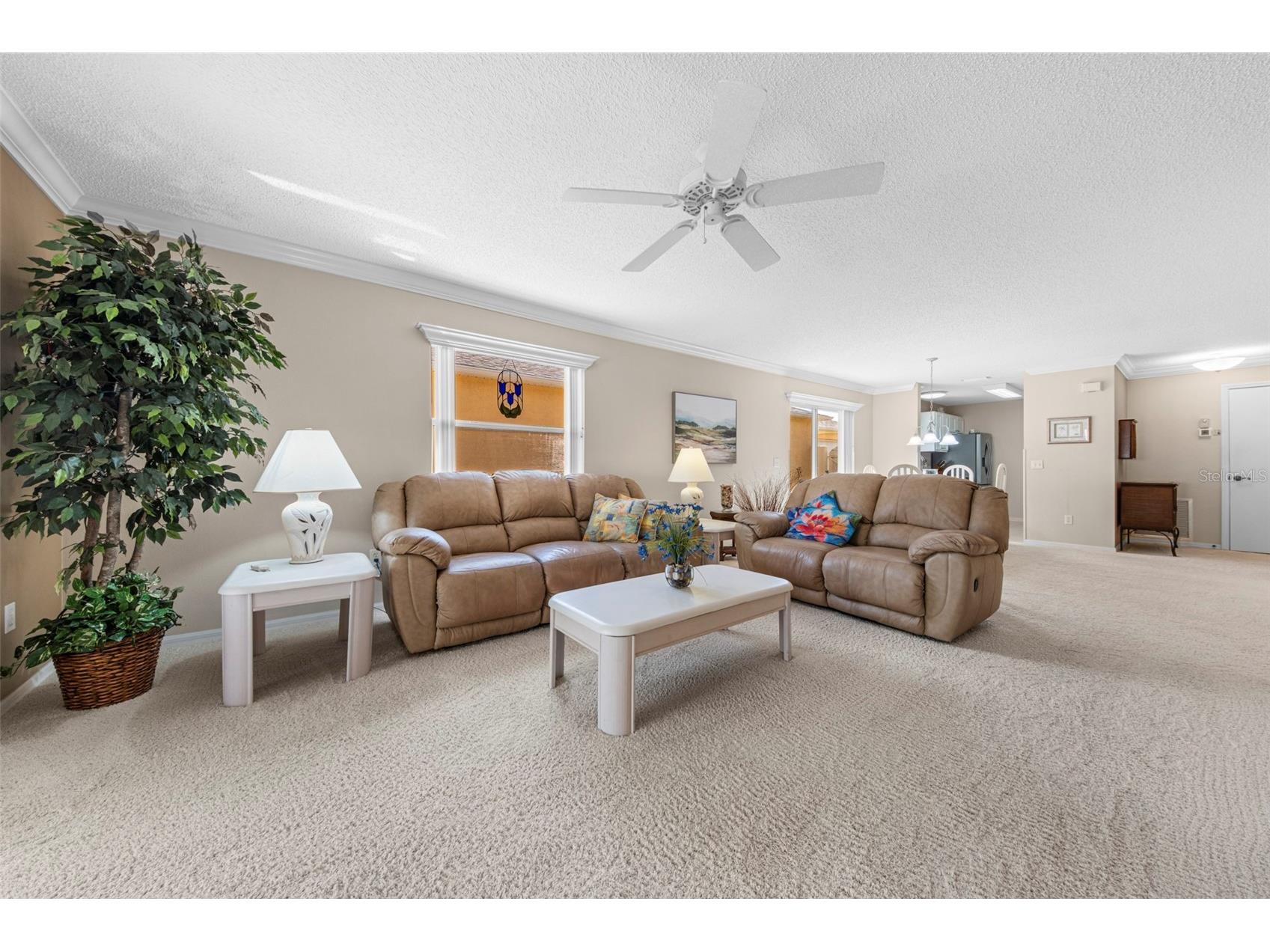 1137 Santa Cruz Drive The Villages FL 32162 OM719628 image12
