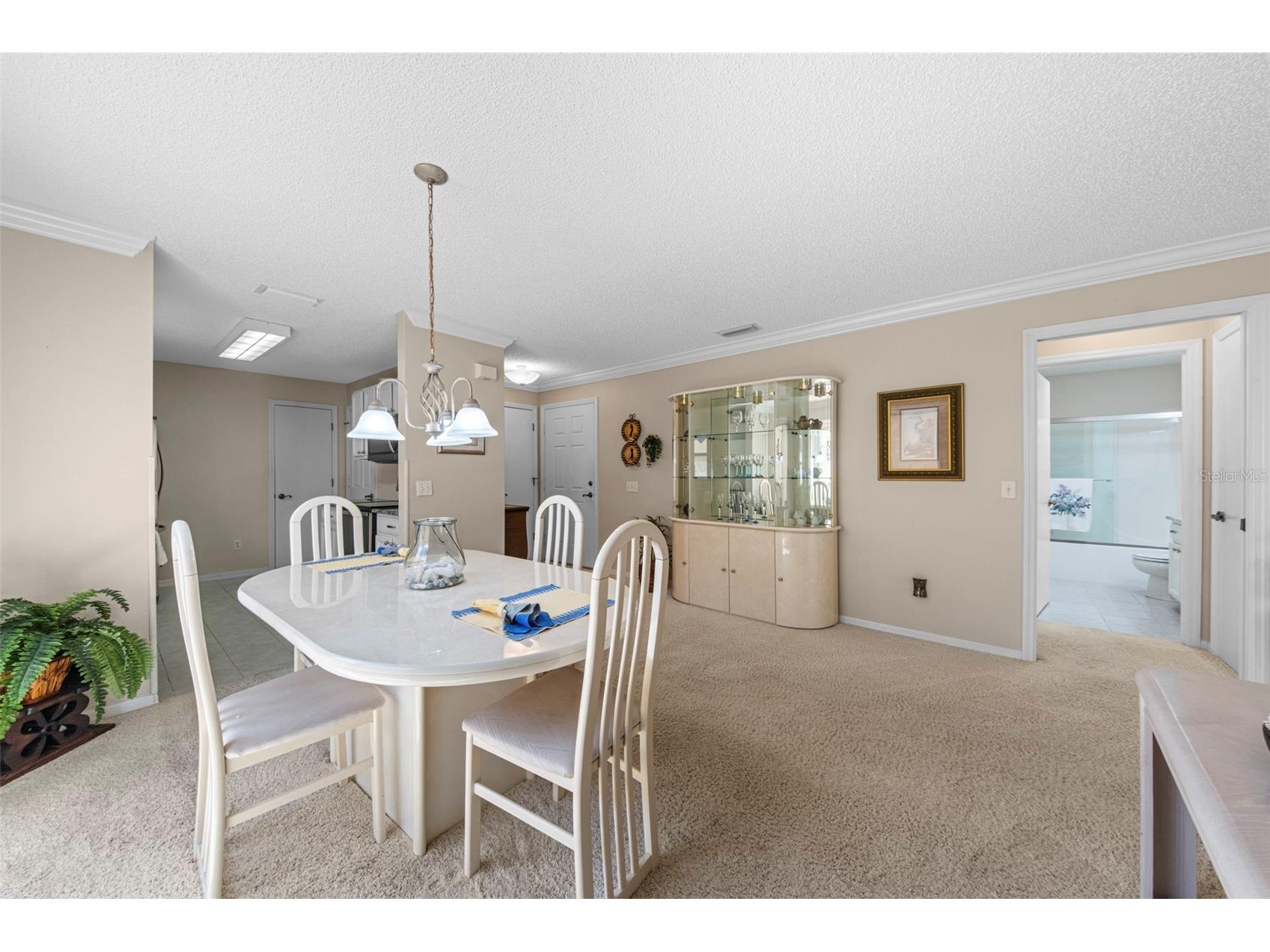 1137 Santa Cruz Drive The Villages FL 32162 OM719628 image6