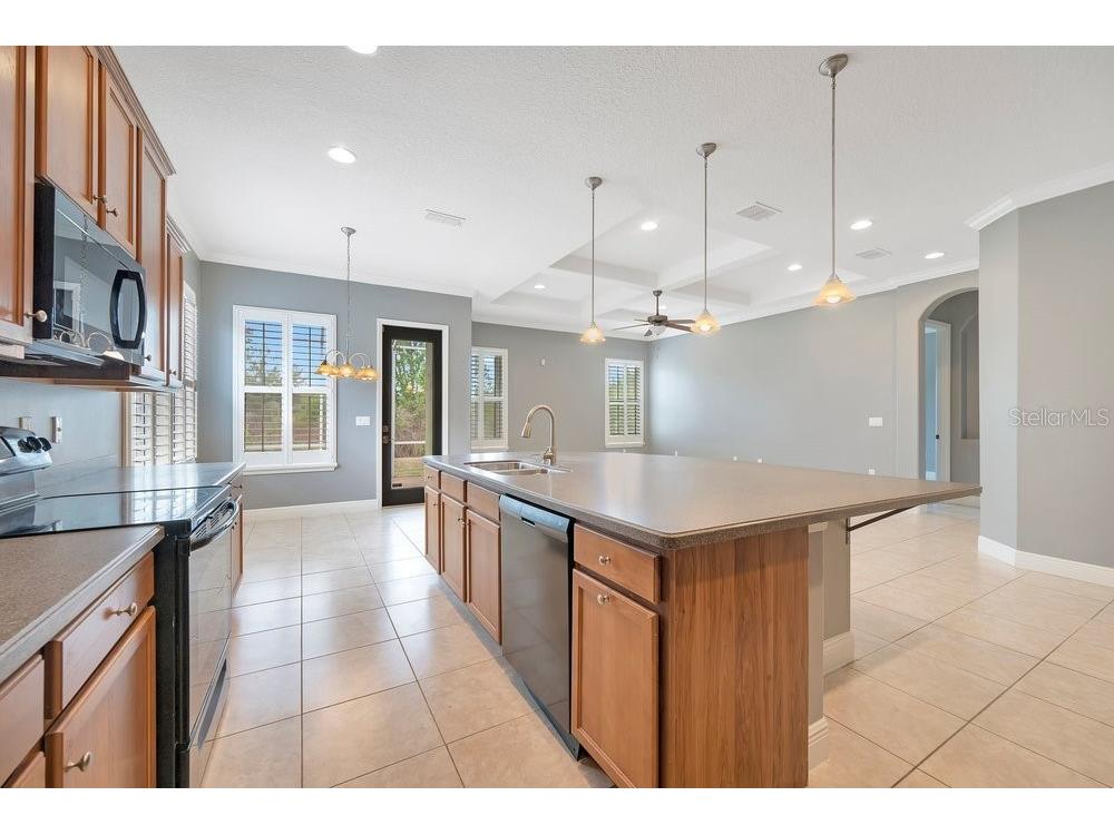 1137 Stoney Creek Boulevard Lakeland FL 33811 A4684536 image13