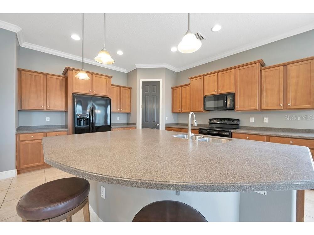 1137 Stoney Creek Boulevard Lakeland FL 33811 A4684536 image15