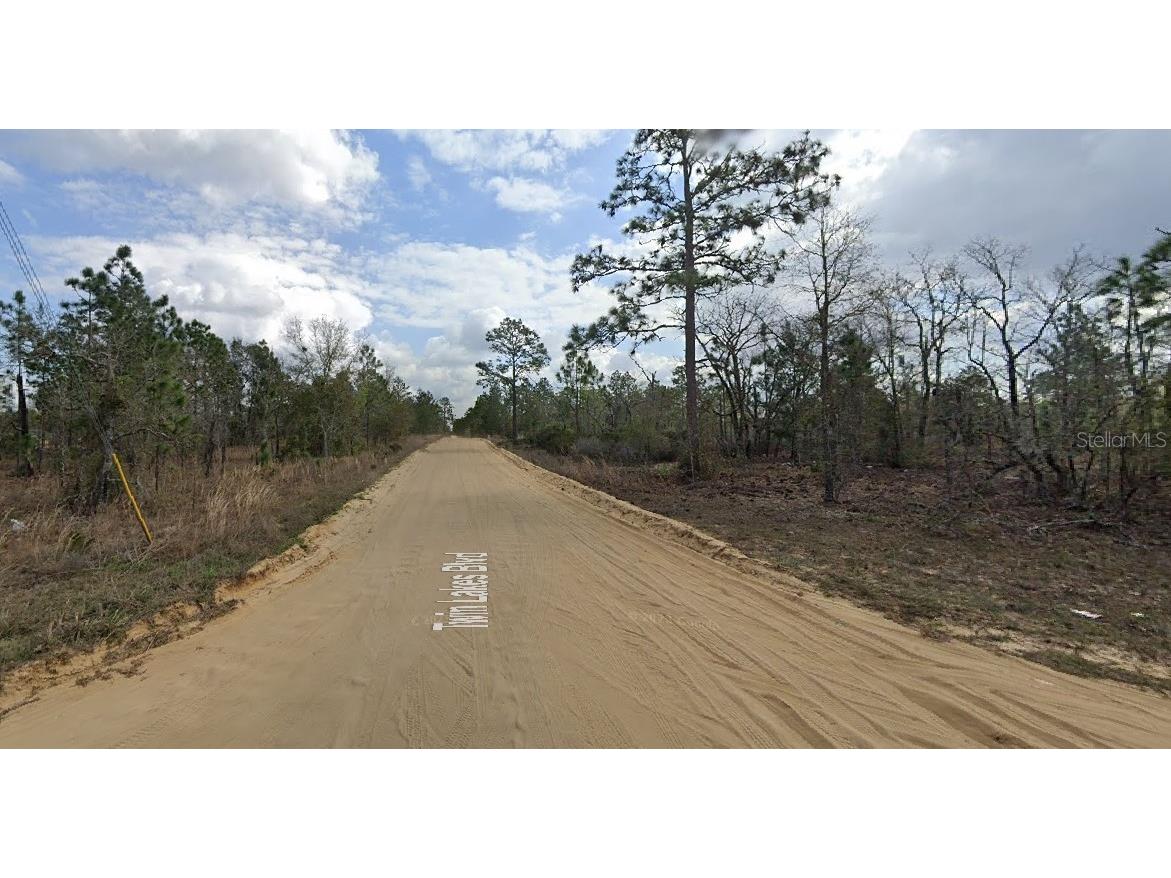 1137 Twin Lakes Boulevard Interlachen FL 32148 O6271385 image1