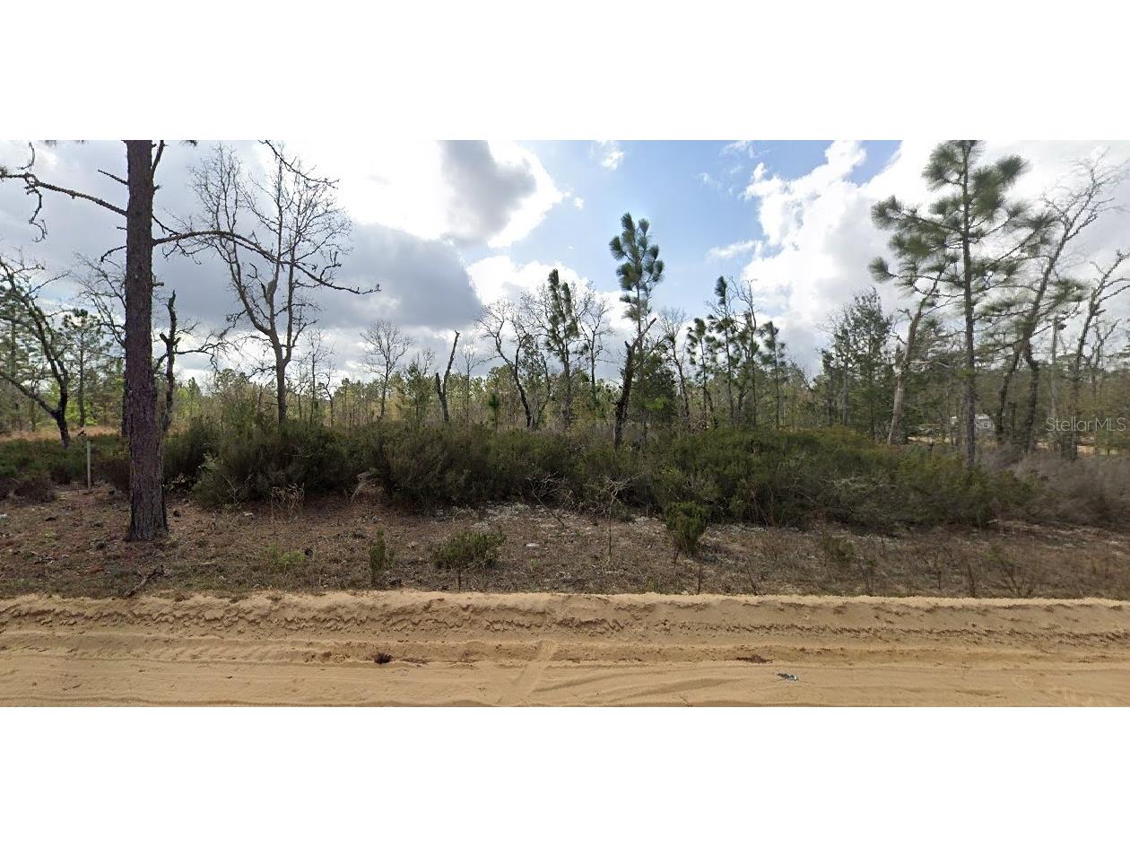 1137 Twin Lakes Boulevard Interlachen FL 32148 O6271385 image3