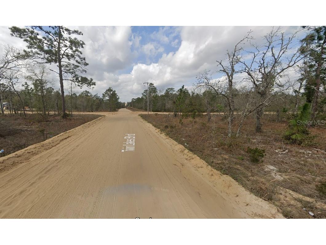 1137 Twin Lakes Boulevard Interlachen FL 32148 O6271385 image4
