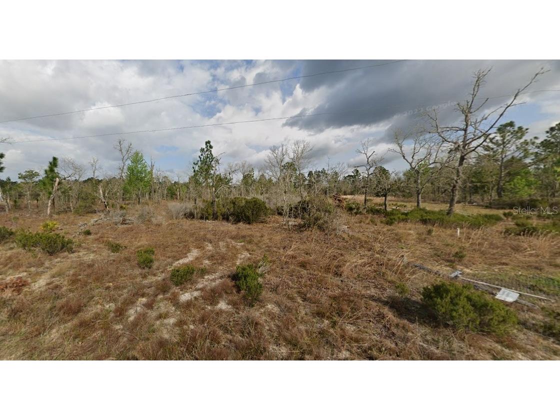 1137 Twin Lakes Boulevard Interlachen FL 32148 O6271385 image5
