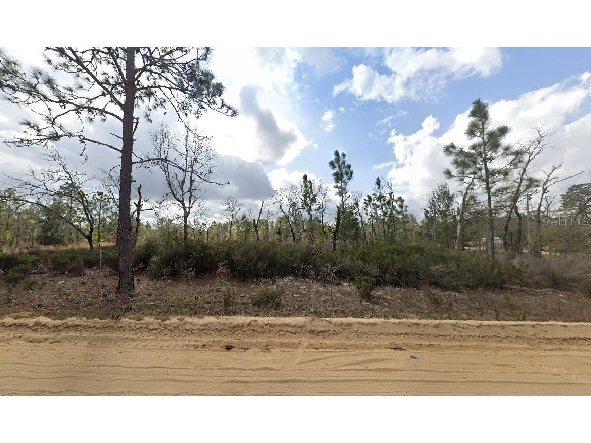 1137 Twin Lakes Boulevard Interlachen FL 32148 O6271385 image6