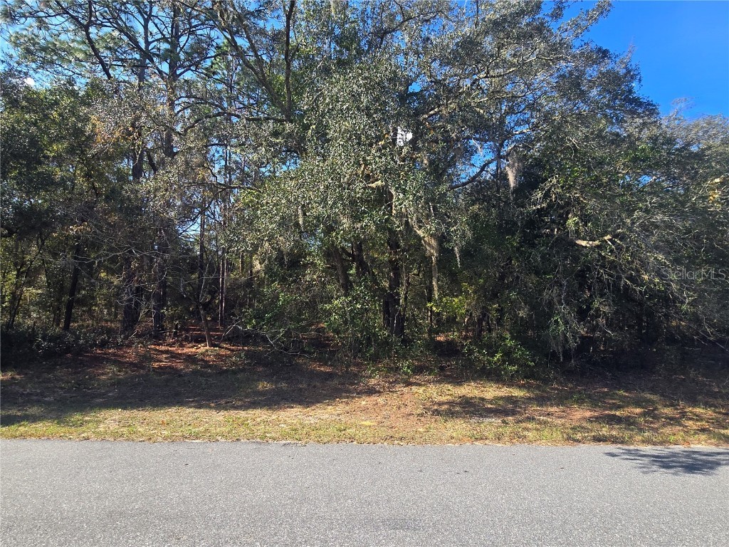 11370 N Ortega Point Dunnellon FL 34433 OM714120 image1