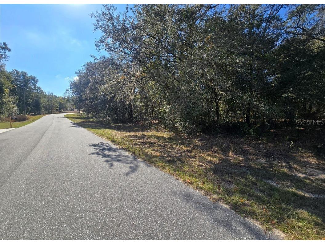 11370 N Ortega Point Dunnellon FL 34433 OM714120 image3