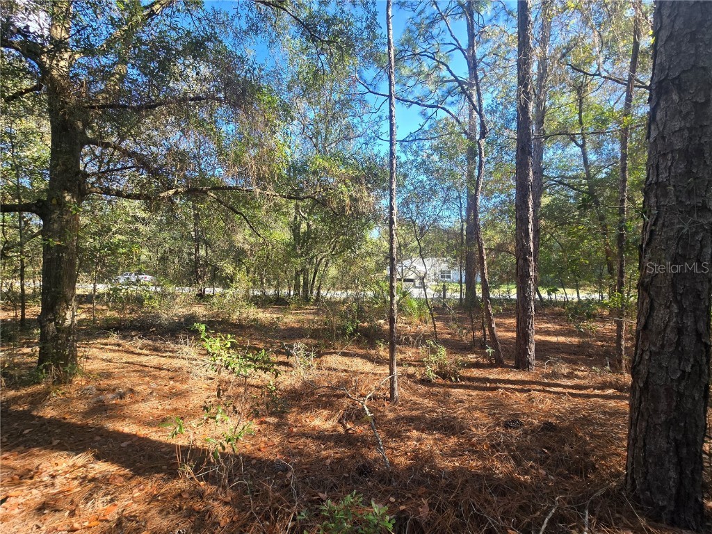 11370 N Ortega Point Dunnellon FL 34433 OM714120 image8