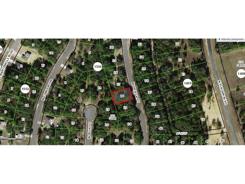 11370 N Ortega Point Dunnellon FL 34433 OM714120 image9