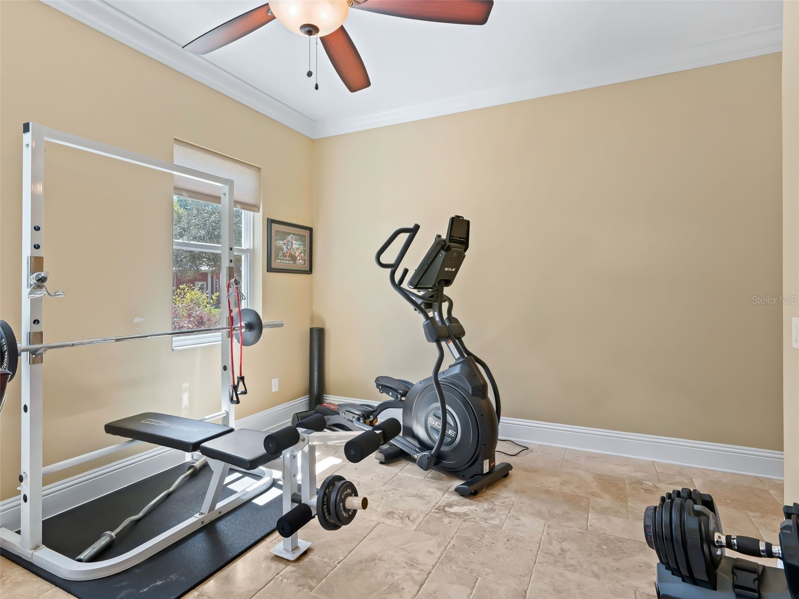 11370 SE 12th Lane Morriston FL 32668 OM721094 image26