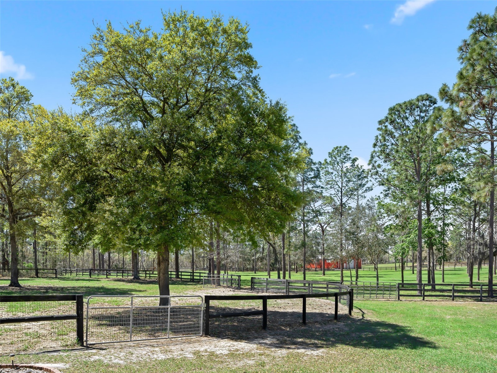 11370 SE 12th Lane Morriston FL 32668 OM721094 image44