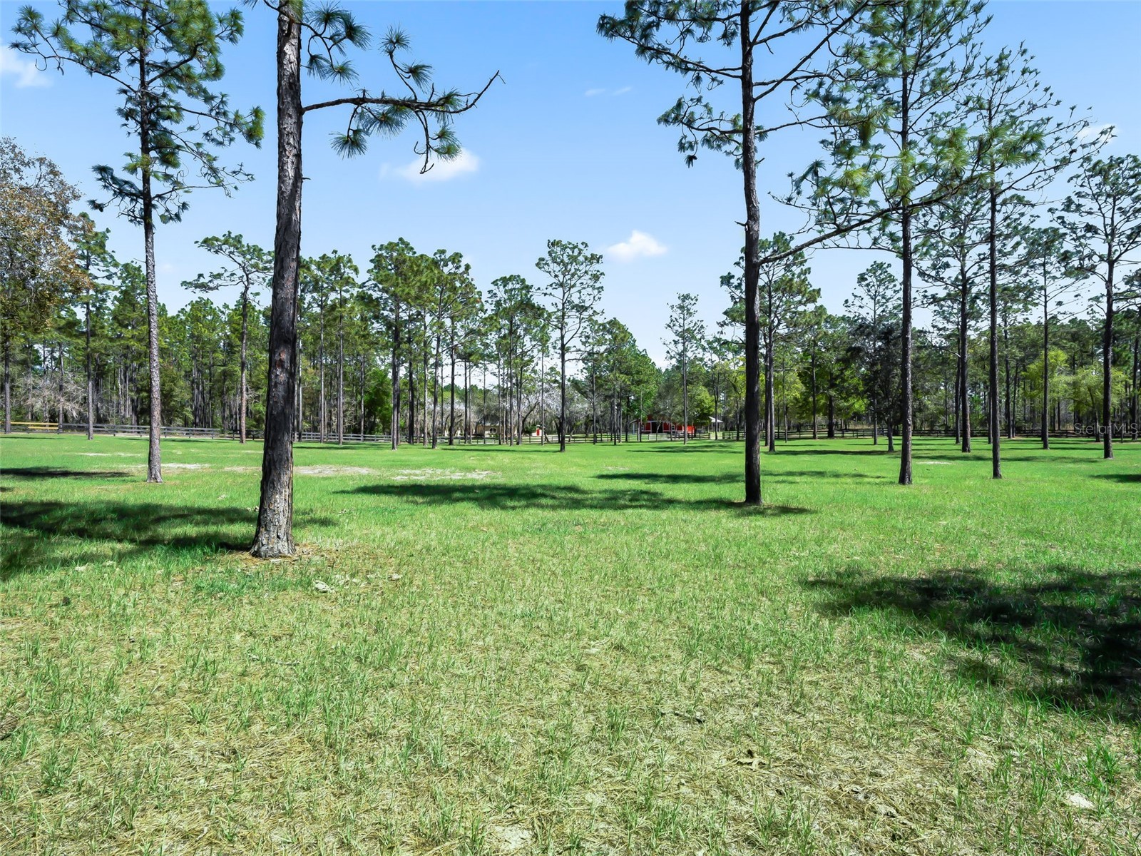 11370 SE 12th Lane Morriston FL 32668 OM721094 image51