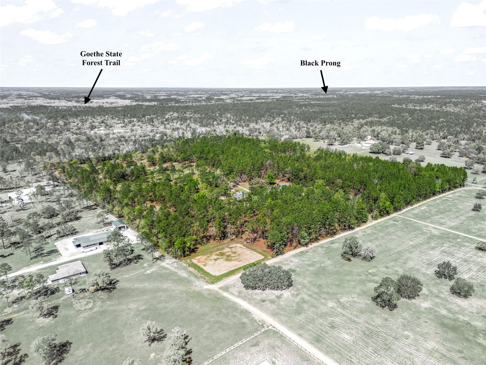 11370 SE 12th Lane Morriston FL 32668 OM721094 image57