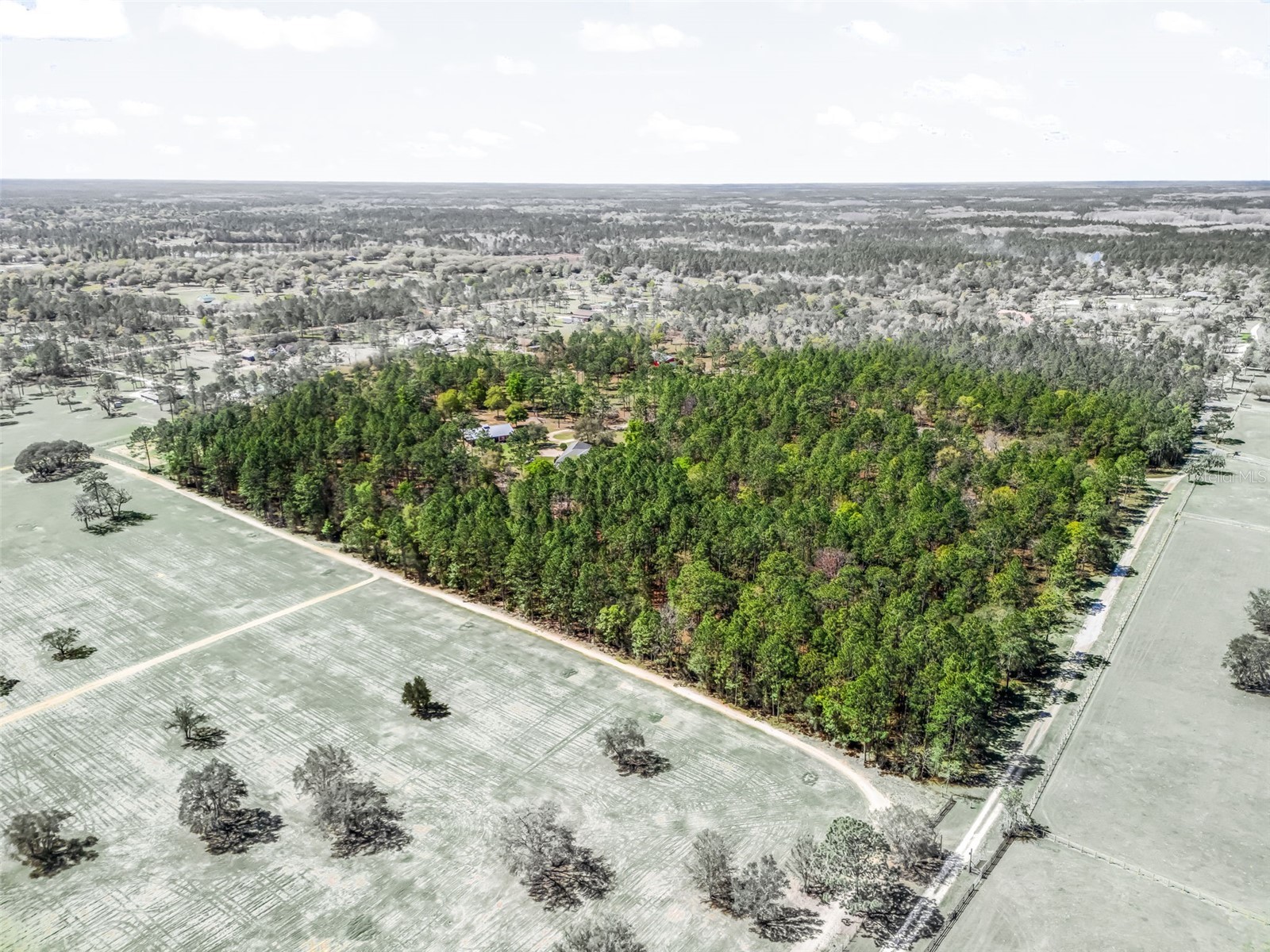 11370 SE 12th Lane Morriston FL 32668 OM721094 image60