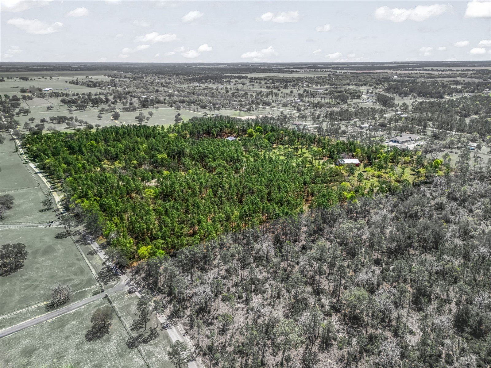 11370 SE 12th Lane Morriston FL 32668 OM721094 image62