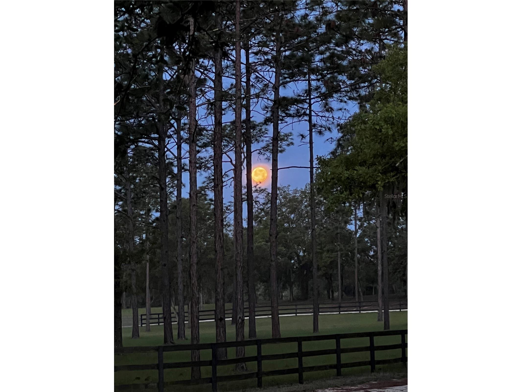 11370 SE 12th Lane Morriston FL 32668 OM721094 image64