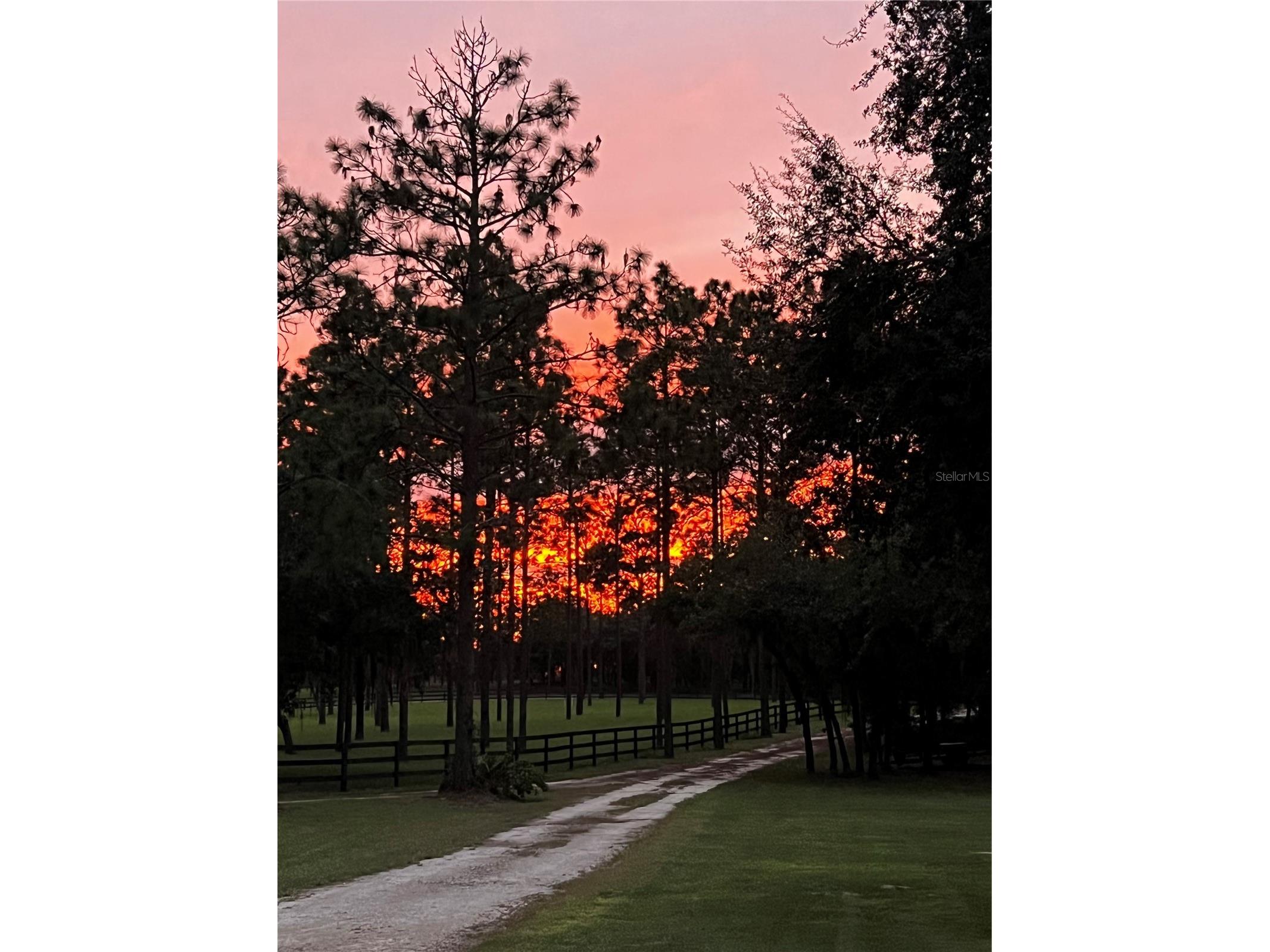 11370 SE 12th Lane Morriston FL 32668 OM721094 image66