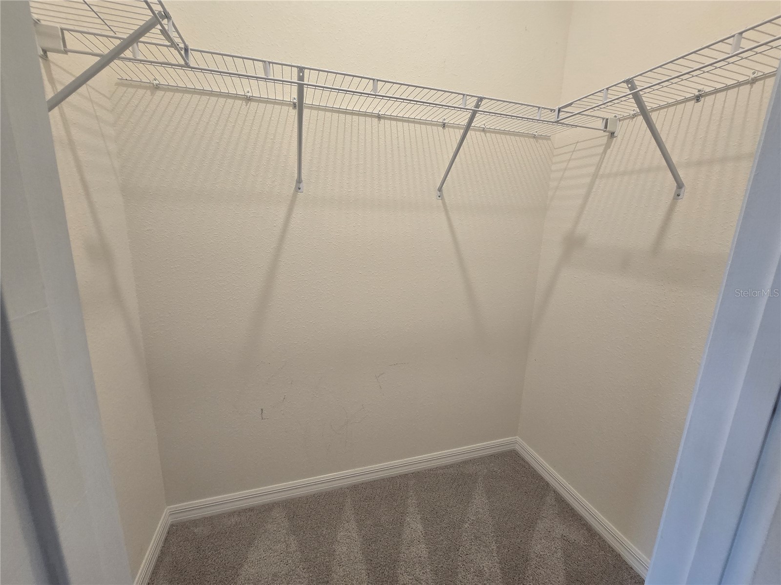 11370 Timber Grove Lane Brooksville FL 34613 TB8511531 image18