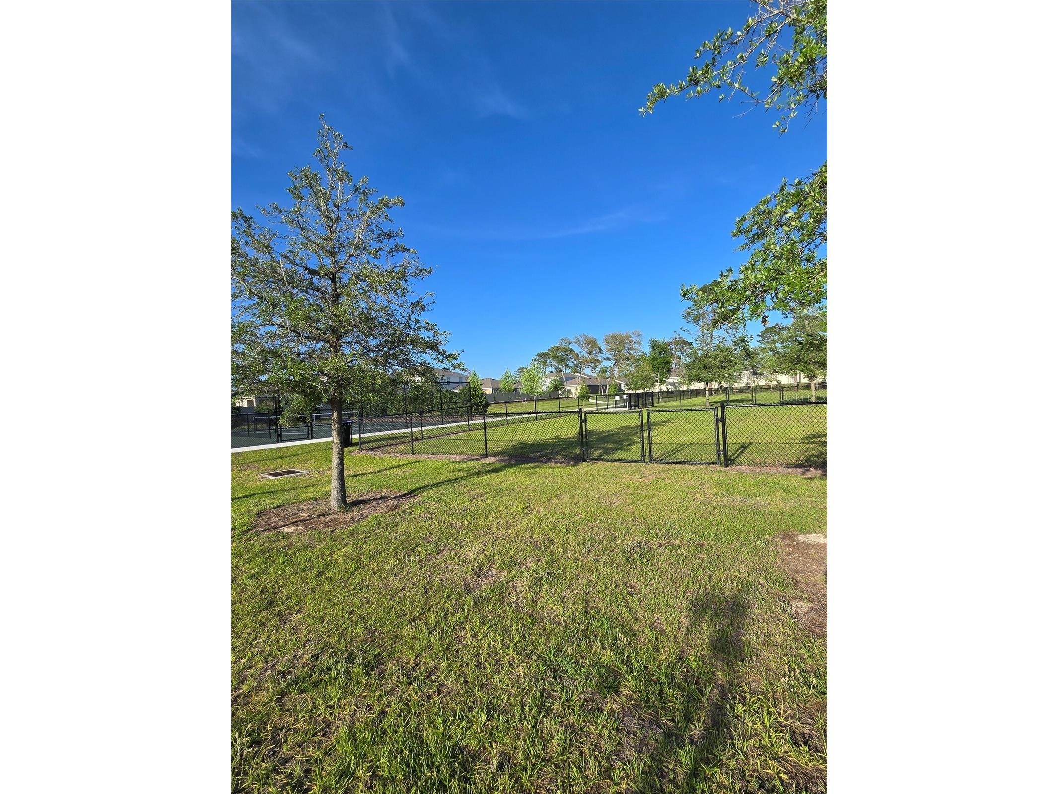 11370 Timber Grove Lane Brooksville FL 34613 TB8511531 image43