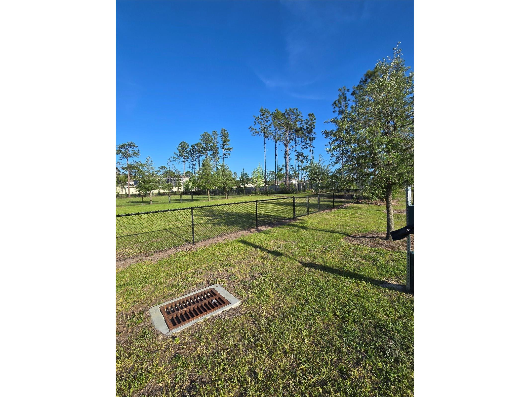 11370 Timber Grove Lane Brooksville FL 34613 TB8511531 image44