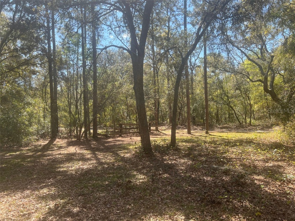 11372 E Highway 25 Ocklawaha FL 32179 OM697208 image7