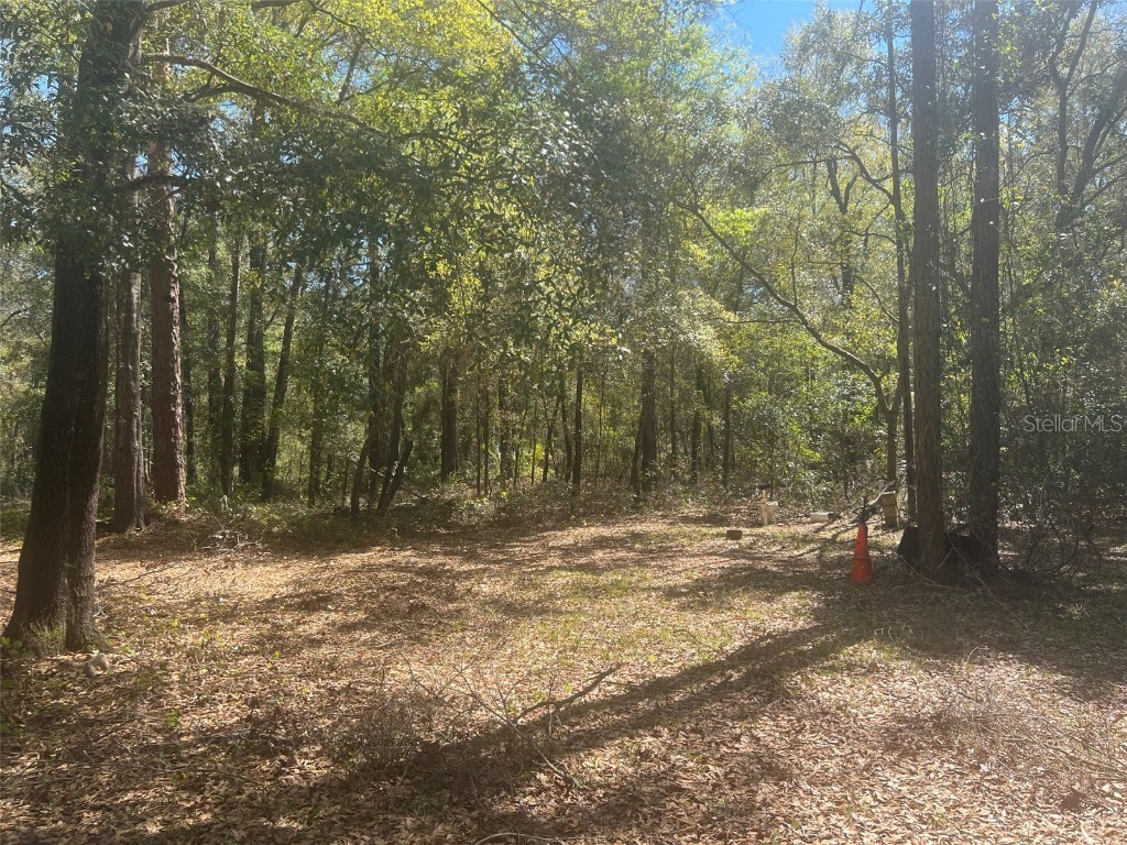 11372 E Highway 25 Ocklawaha FL 32179 OM697208 image8