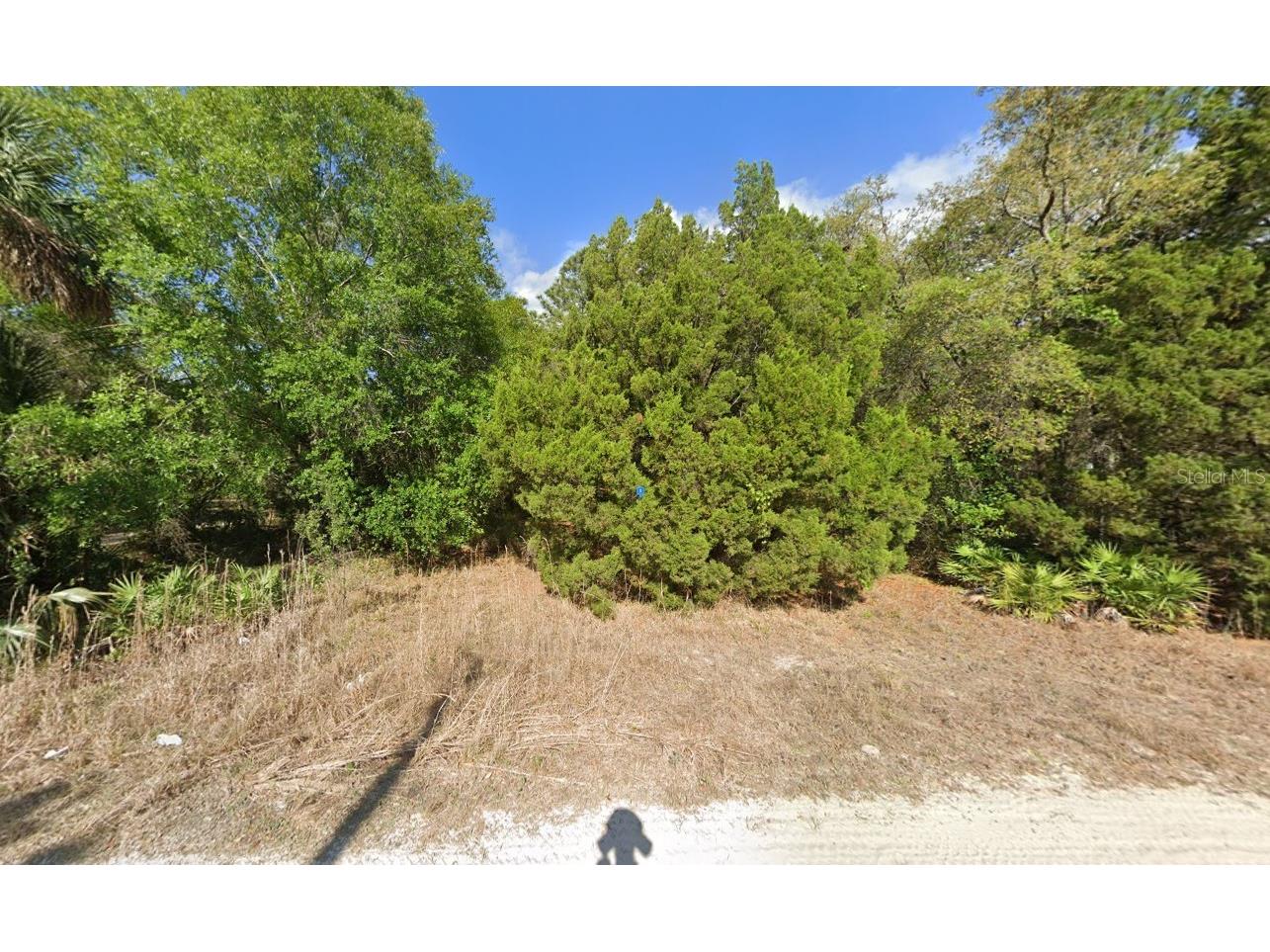 11372 S Ann Point Homosassa FL 34448 A4681577 image2