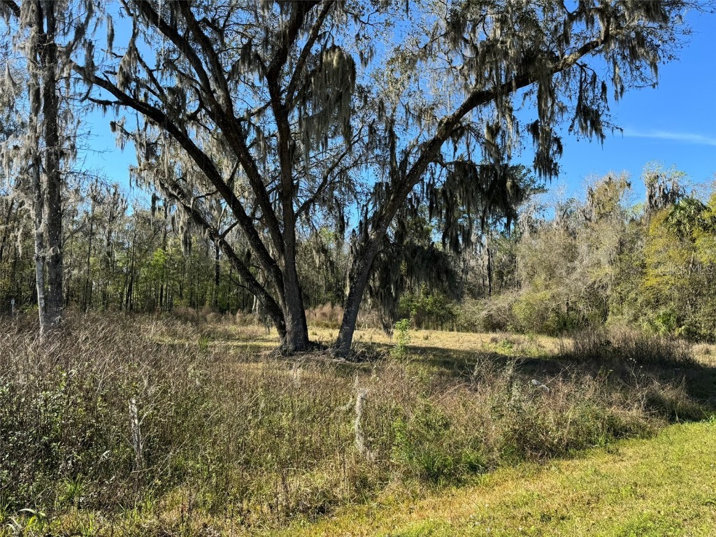 11372 W Highway 318 Reddick FL 32686 OM673650 image1