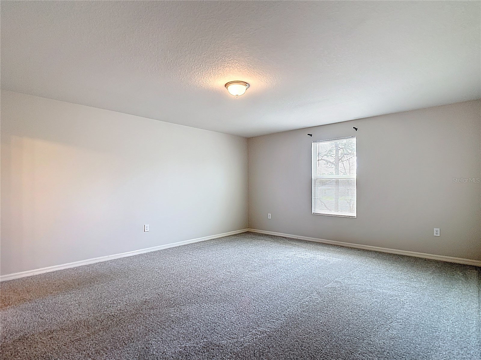 11374 Marcella Avenue Weeki Wachee FL 34614 W7884243 image38