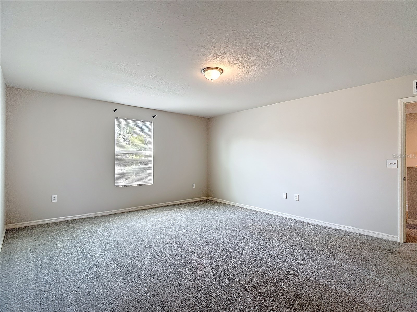 11374 Marcella Avenue Weeki Wachee FL 34614 W7884243 image40
