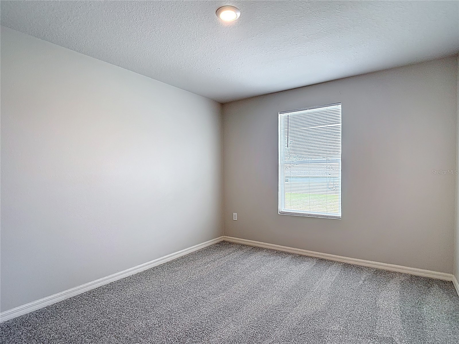 11374 Marcella Avenue Weeki Wachee FL 34614 W7884243 image59