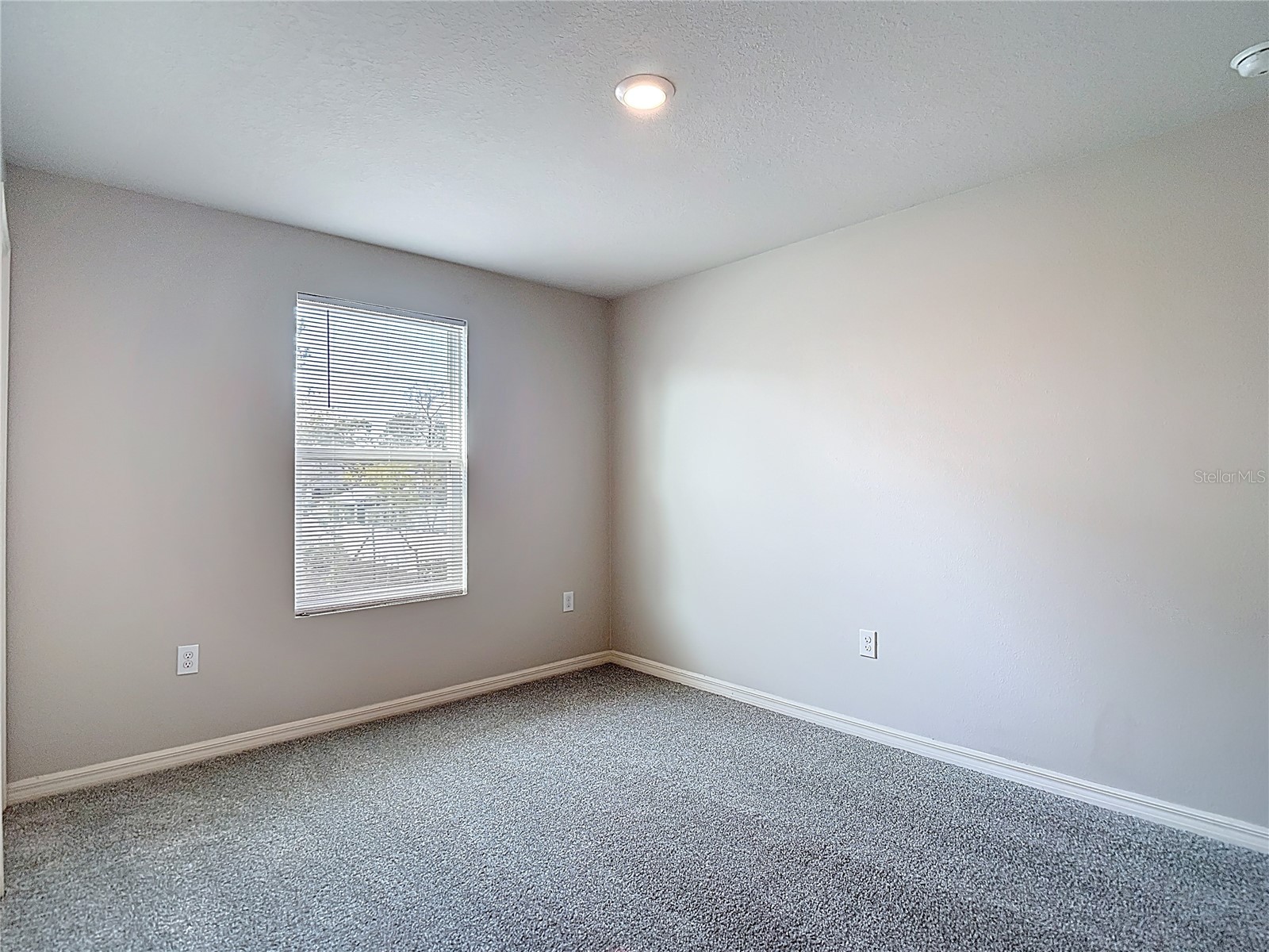 11374 Marcella Avenue Weeki Wachee FL 34614 W7884243 image60