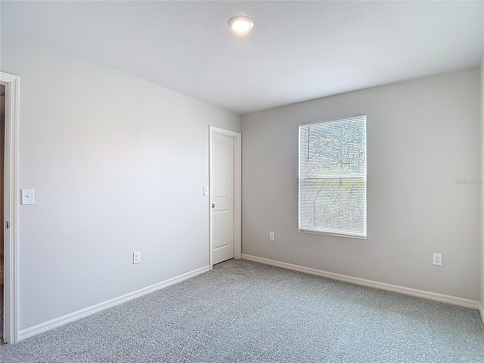 11374 Marcella Avenue Weeki Wachee FL 34614 W7884243 image61