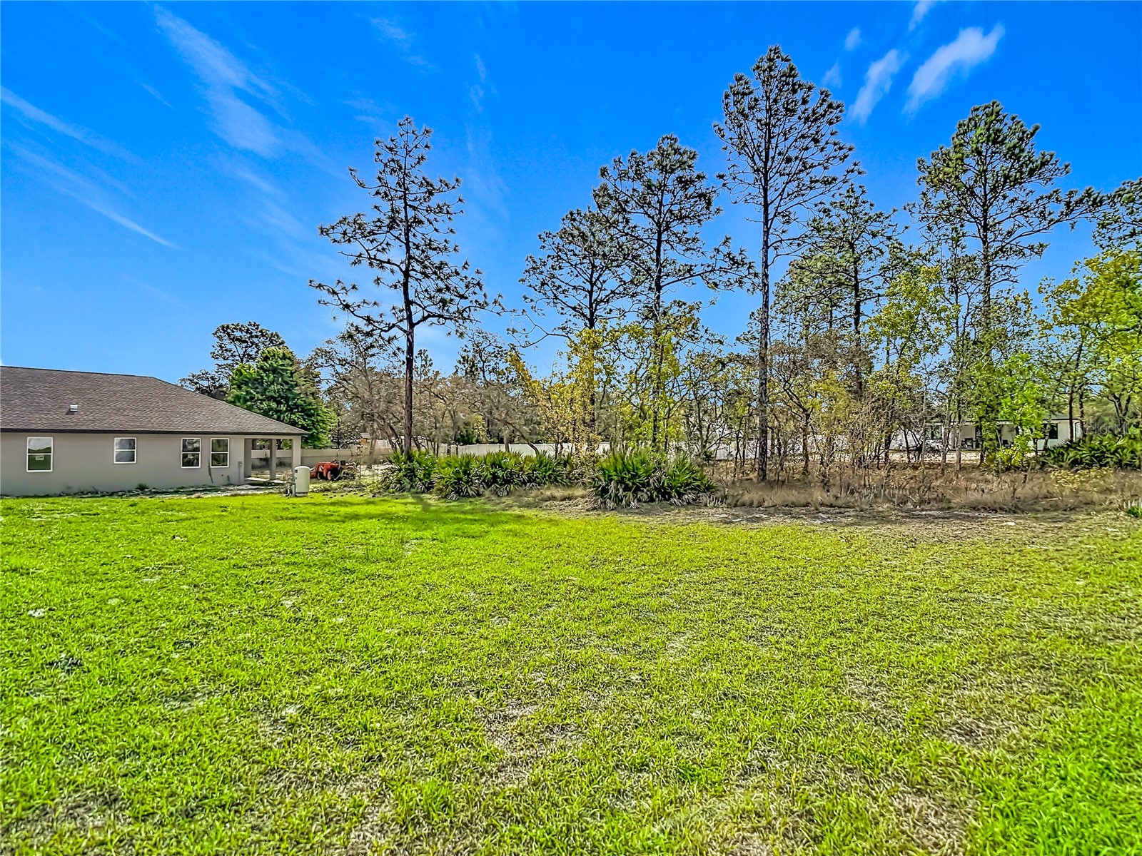 11374 Marcella Avenue Weeki Wachee FL 34614 W7884243 image68