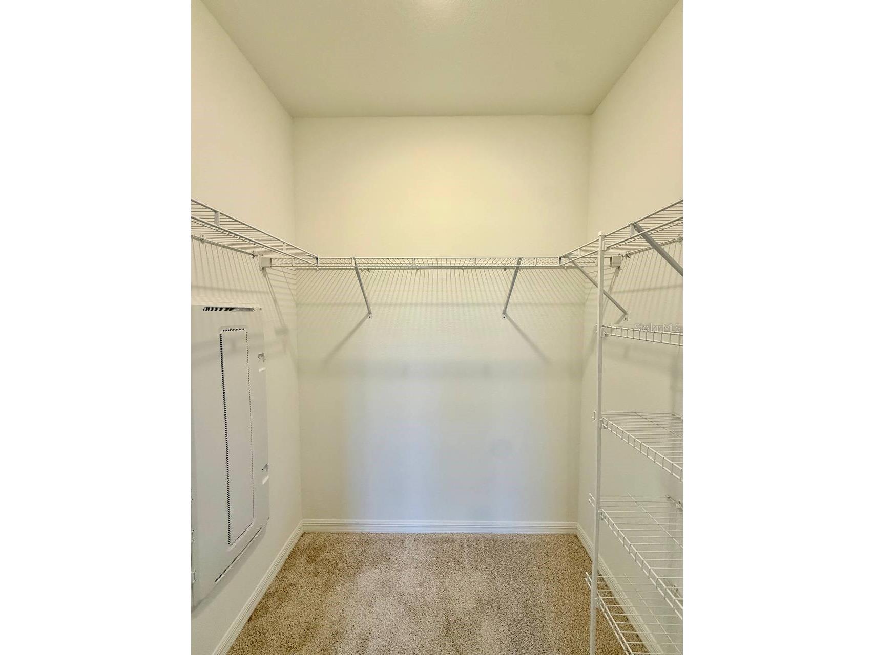 11374 Velvet Apricot Drive Land O Lakes FL 34638 TB8470210 image17