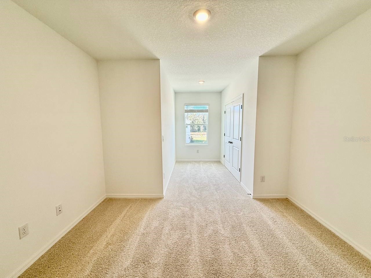 11374 Velvet Apricot Drive Land O Lakes FL 34638 TB8470210 image21