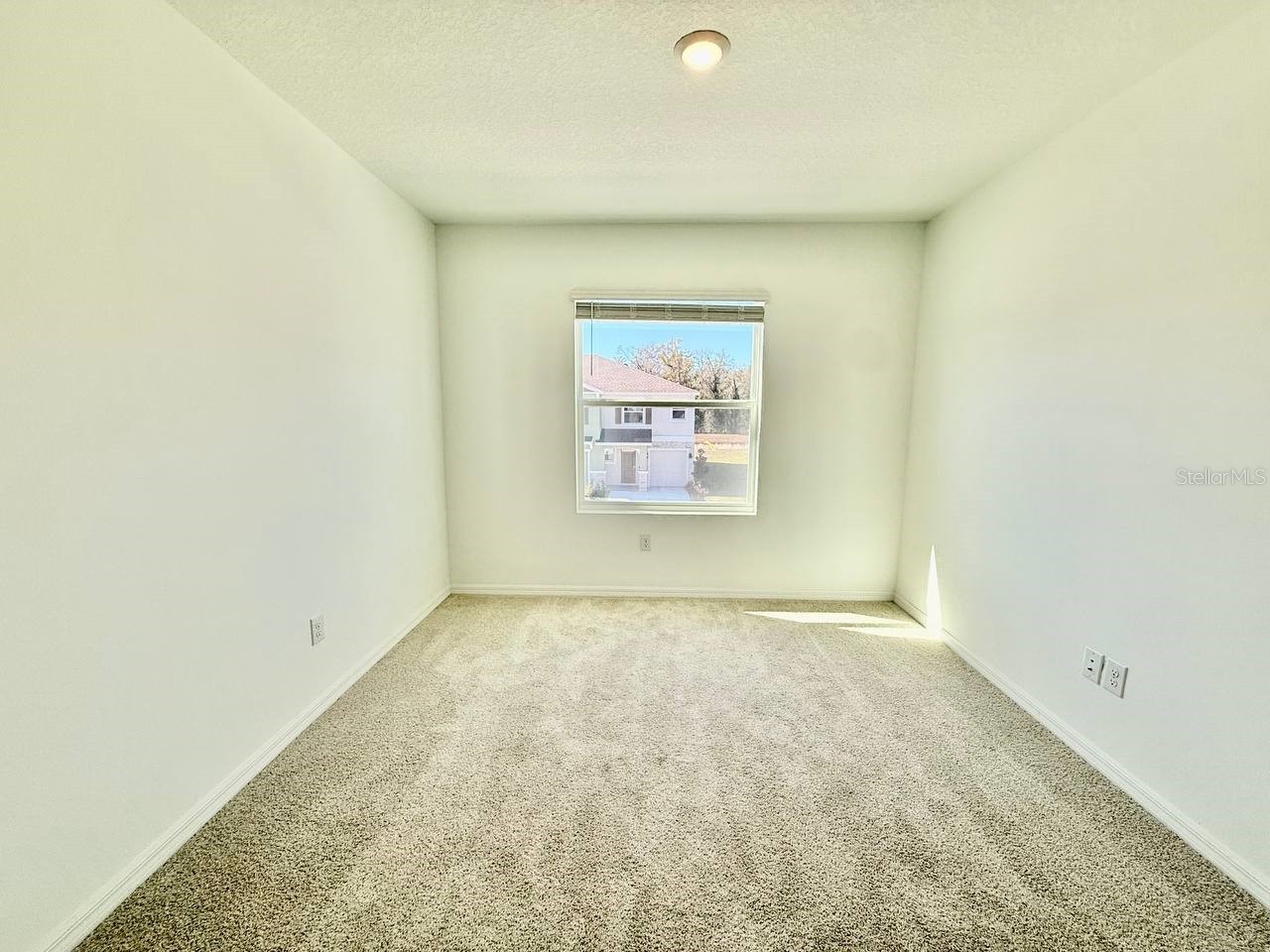 11374 Velvet Apricot Drive Land O Lakes FL 34638 TB8470210 image25