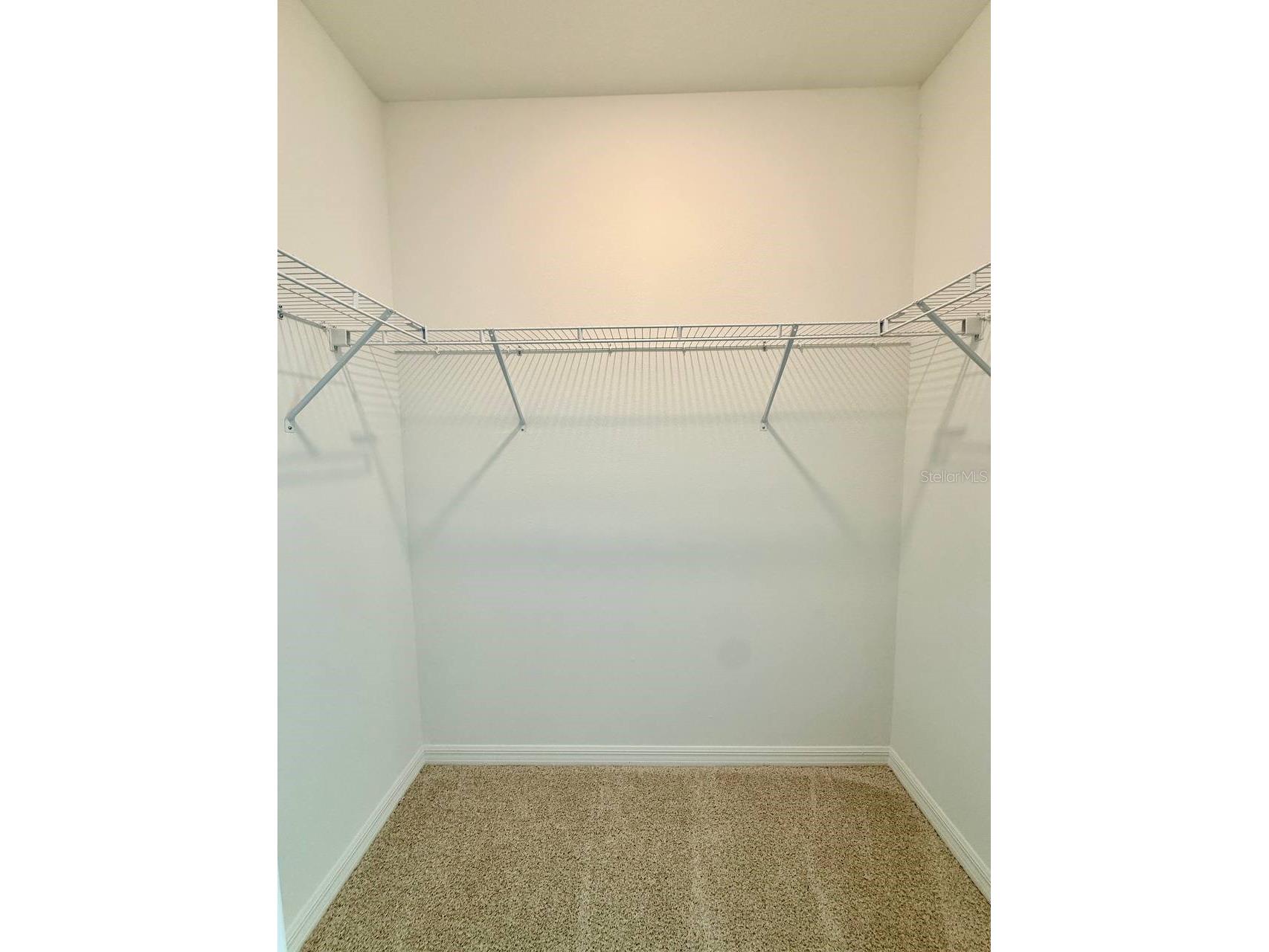 11374 Velvet Apricot Drive Land O Lakes FL 34638 TB8470210 image27