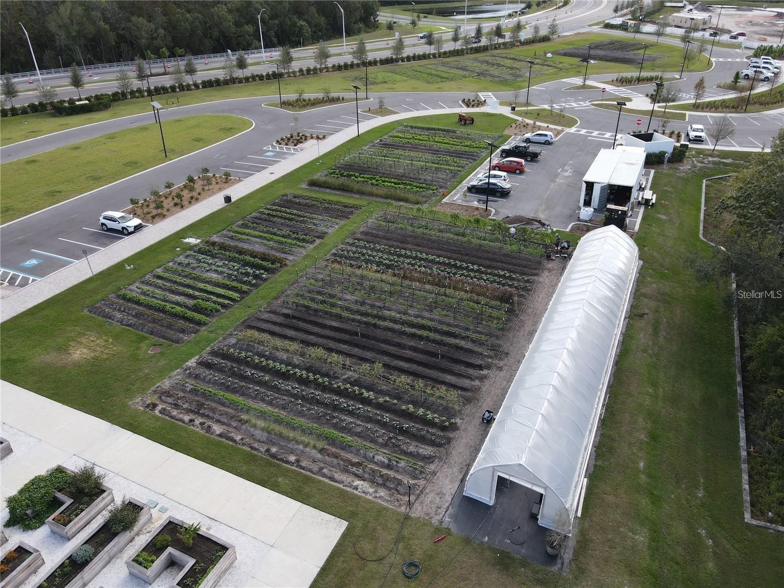 11374 Velvet Apricot Drive Land O Lakes FL 34638 TB8470210 image35