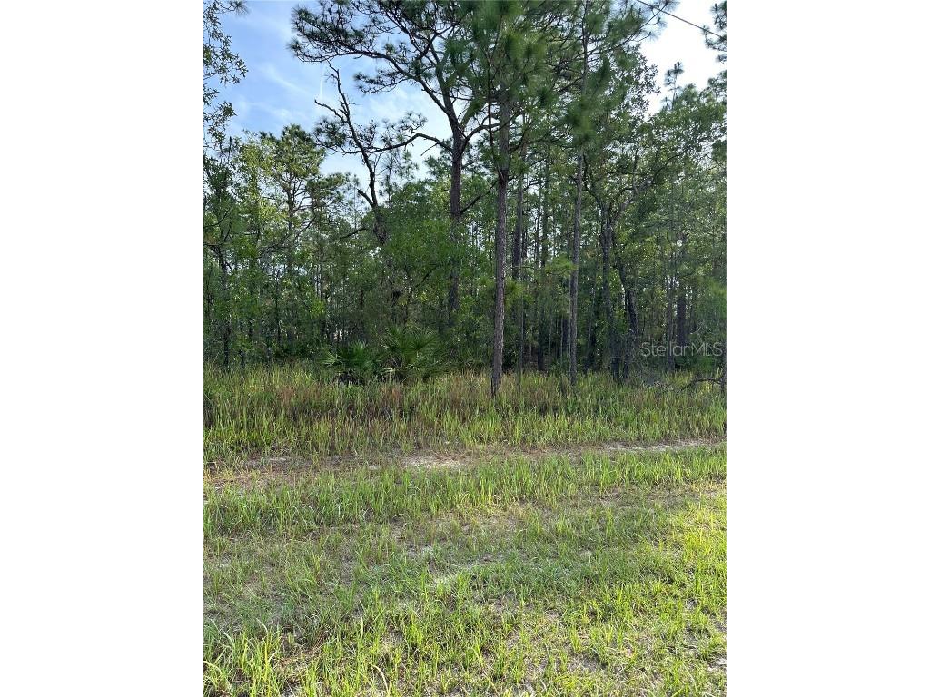 11375 Chickadee Road Weeki Wachee FL 34614 T3448693 image1