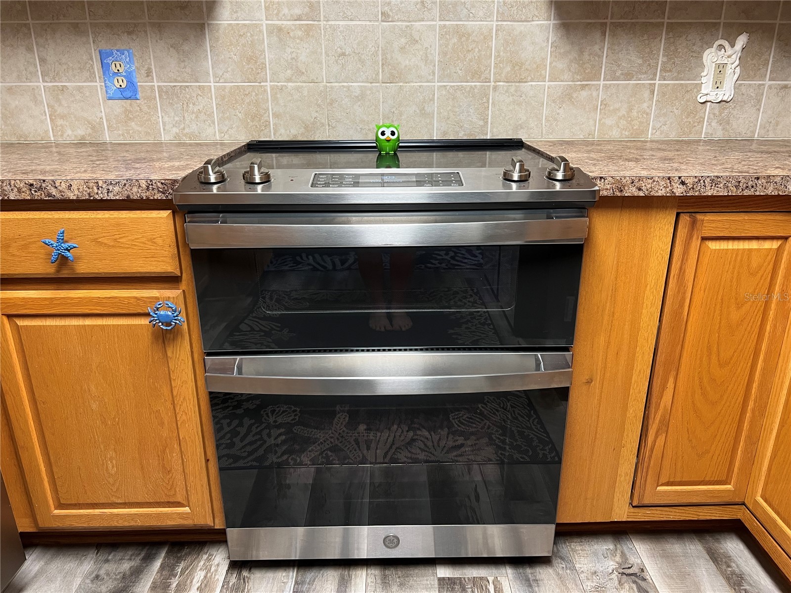 11375 Corrigan Street Spring Hill FL 34609 TB8433117 image10