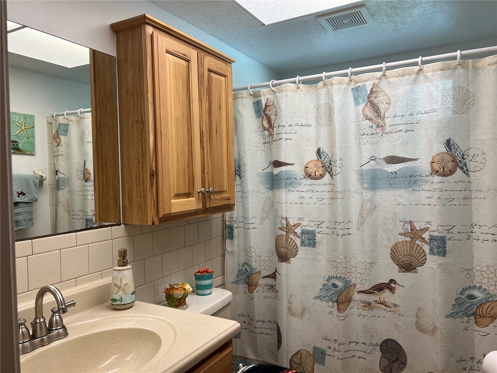 11375 Corrigan Street Spring Hill FL 34609 TB8433117 image17