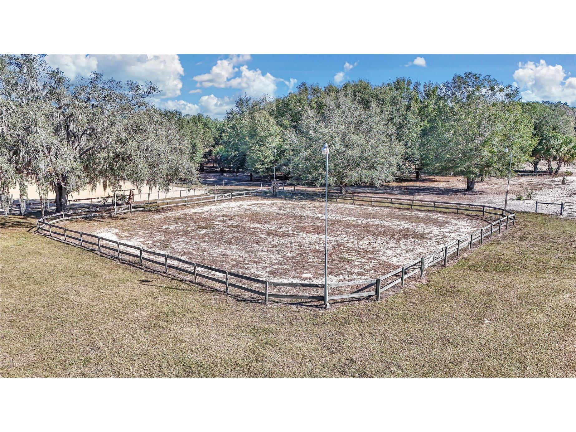 11375 N Circle M Avenue Dunnellon FL 34433 OM715520 image22