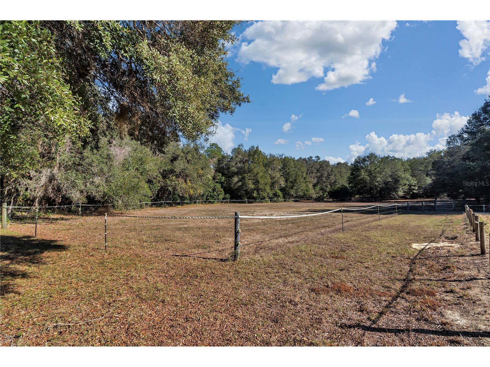 11375 N Circle M Avenue Dunnellon FL 34433 OM715520 image27