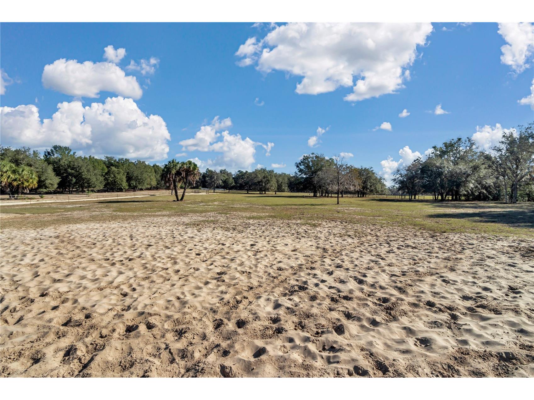 11375 N Circle M Avenue Dunnellon FL 34433 OM715520 image33