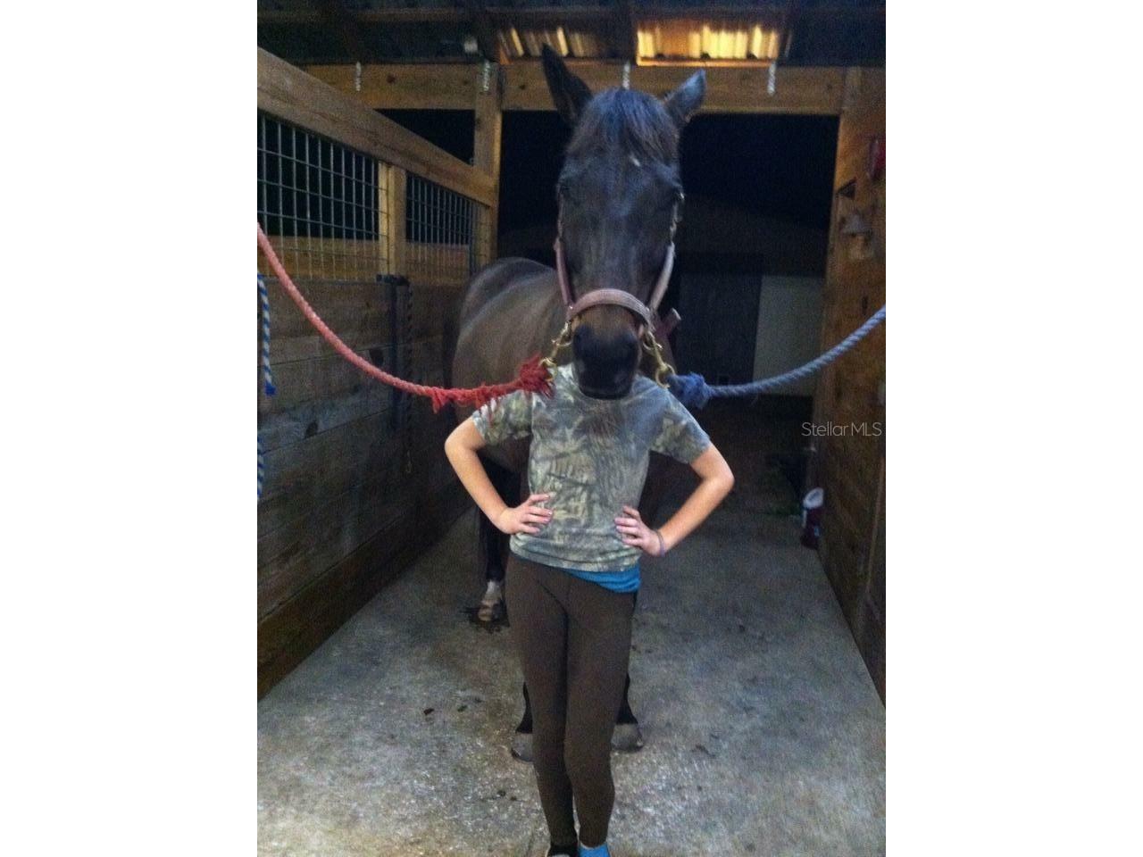 11375 N Circle M Avenue Dunnellon FL 34433 OM715520 image48