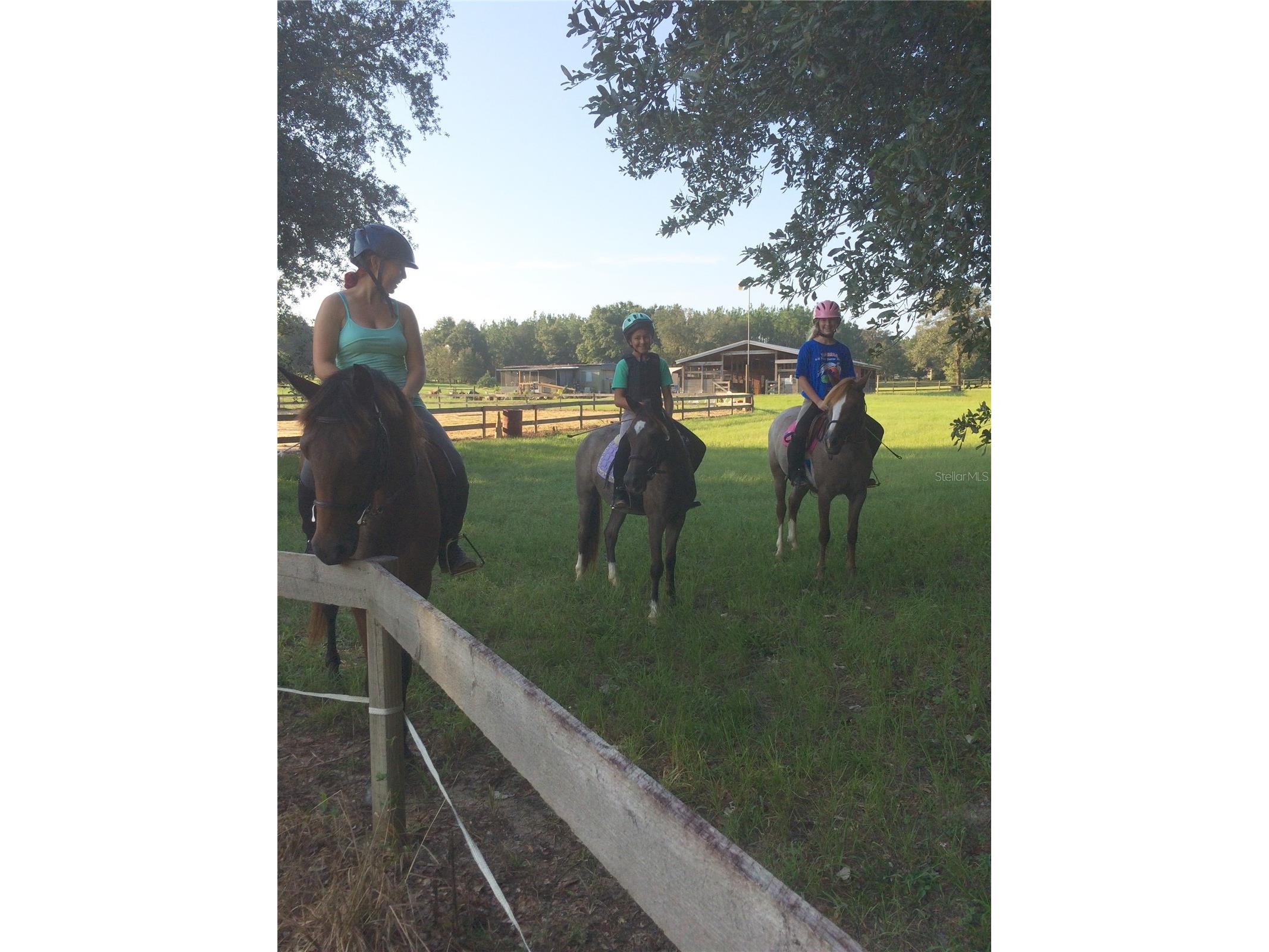 11375 N Circle M Avenue Dunnellon FL 34433 OM715520 image49