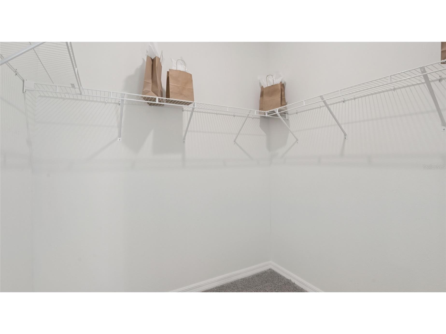11377 Curio Drive Brooksville FL 34613 OM718421 image11