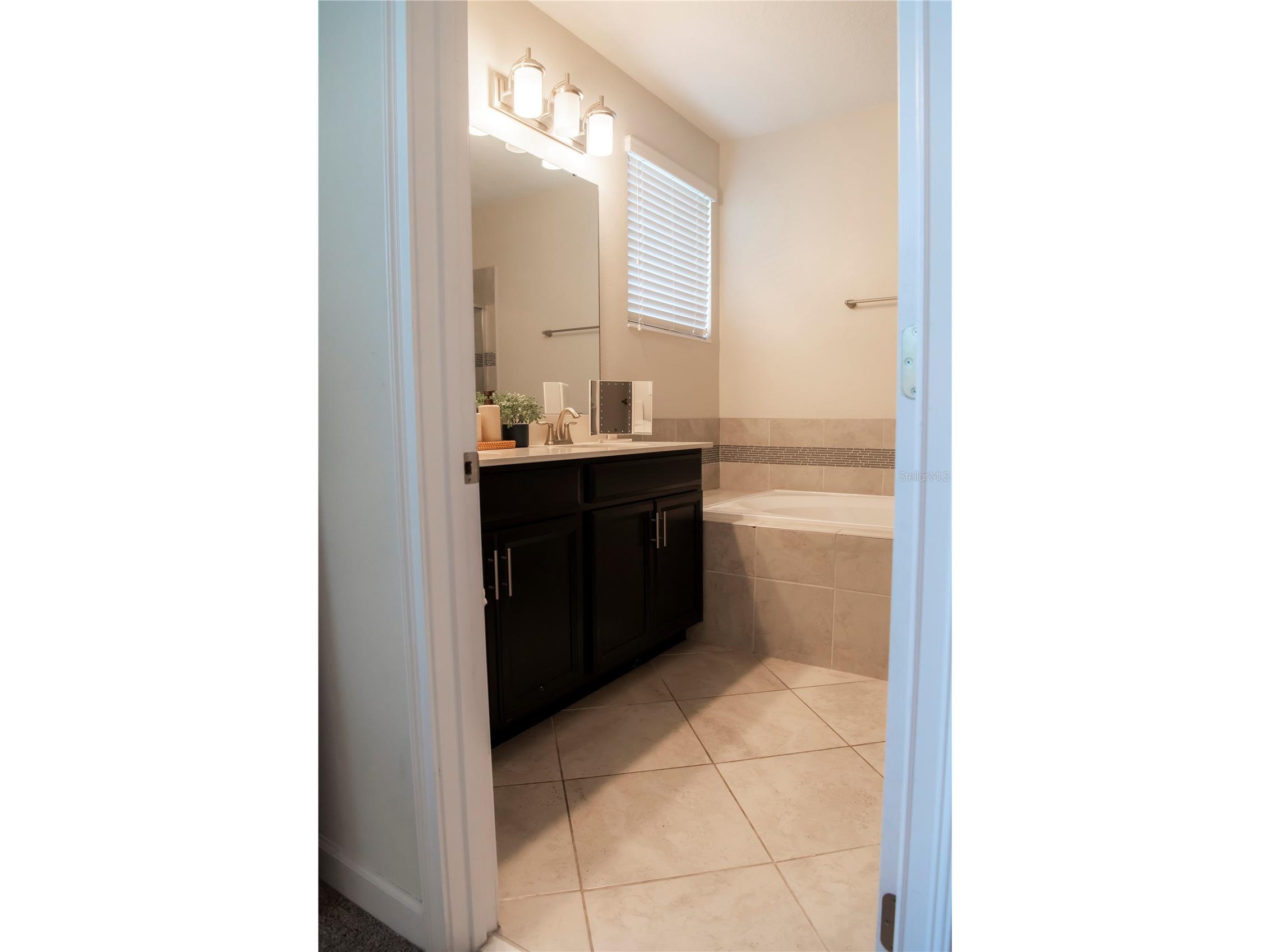 11378 Whistling Pine Way Orlando FL 32832 S5147562 image21